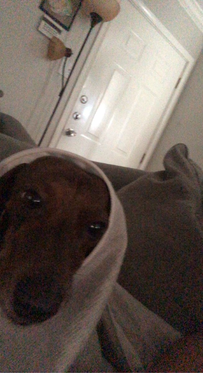 my girlfriends dog needs surgery after an incident on sunday , if you guys can help us out in anyway to cover the expense  we’d greatly appreciate it , send to $bhunny93 or $gilrmz00