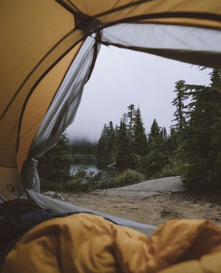 ᅠ ᅠ (@greendreaams) on Twitter photo 