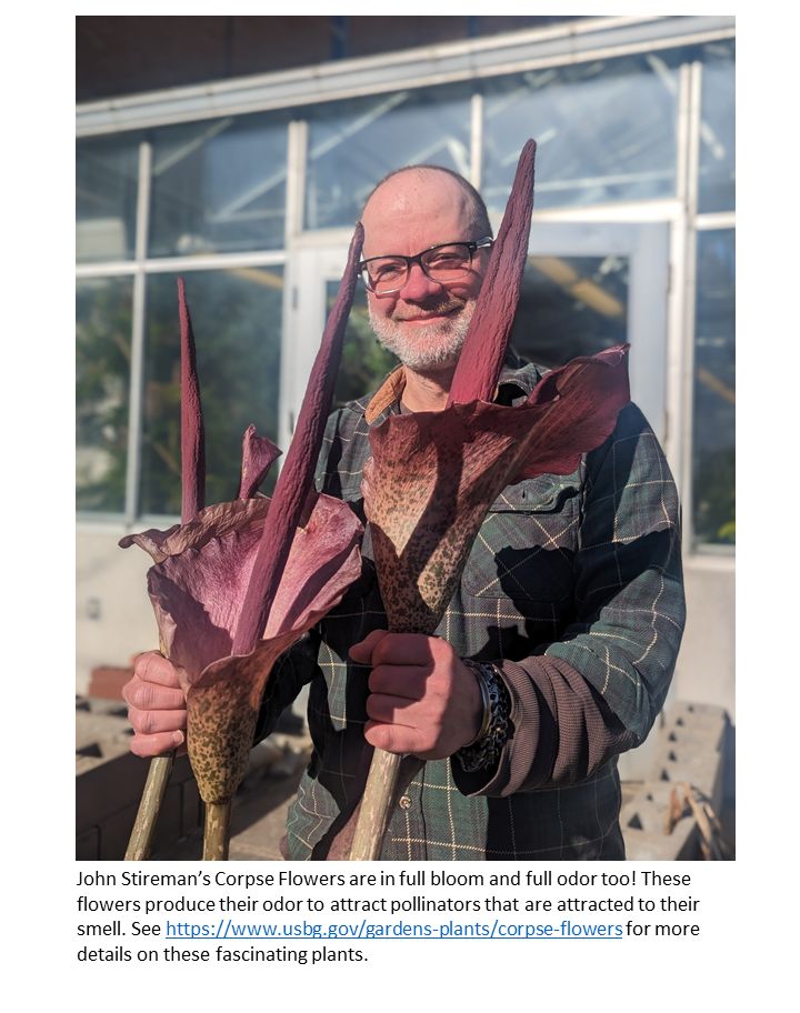 WSU Biological Sciences Dept. tweet media