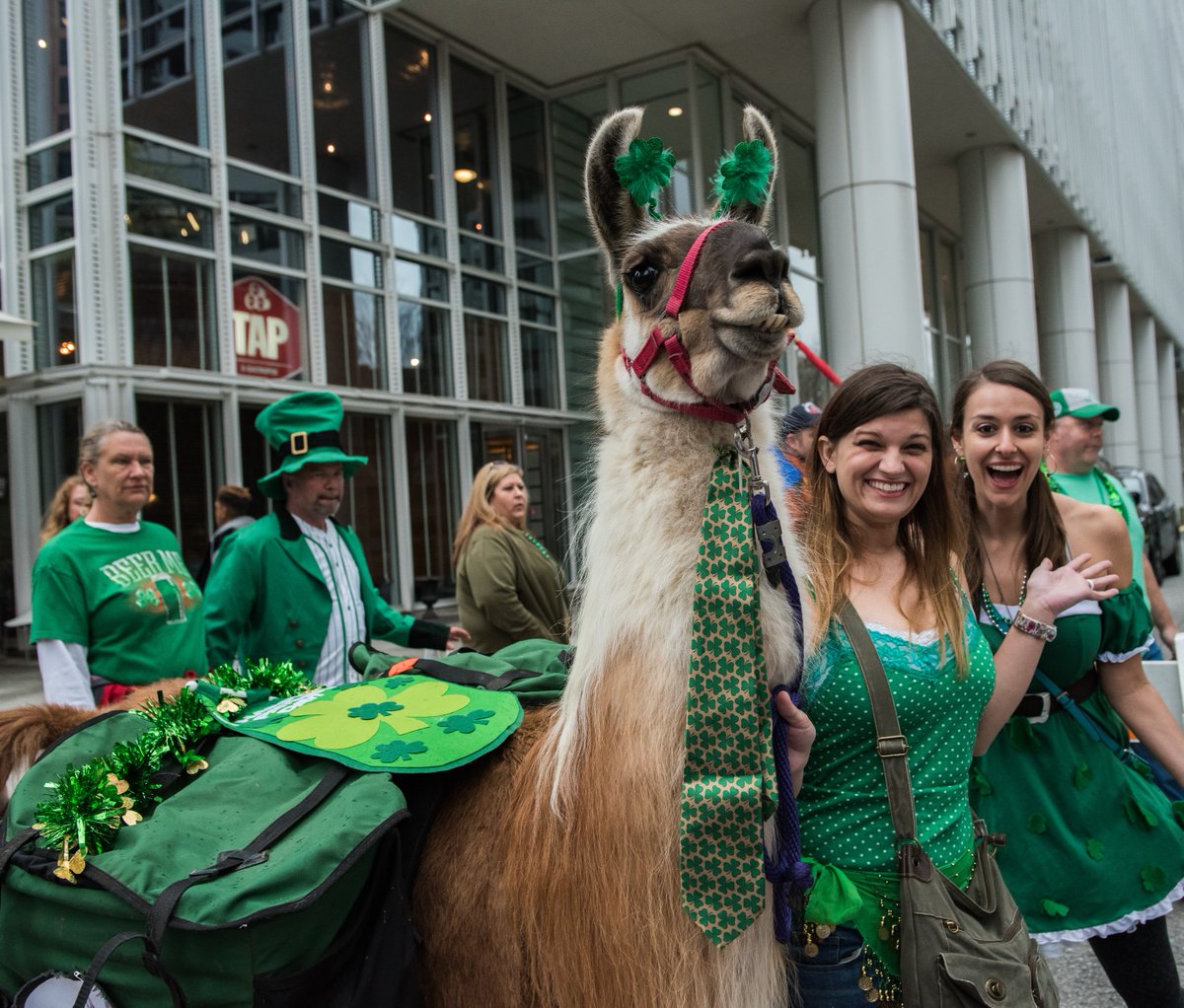☘️ The Atlanta St. Patrick's Parade is Happening in Midtown on March 16 We spoke with @IrishNetworkATL about what's in store, and this celebration promises to be the biggest one yet. Learn how you can join in on the festivities and make a day of it: bit.ly/48Oi1Yt