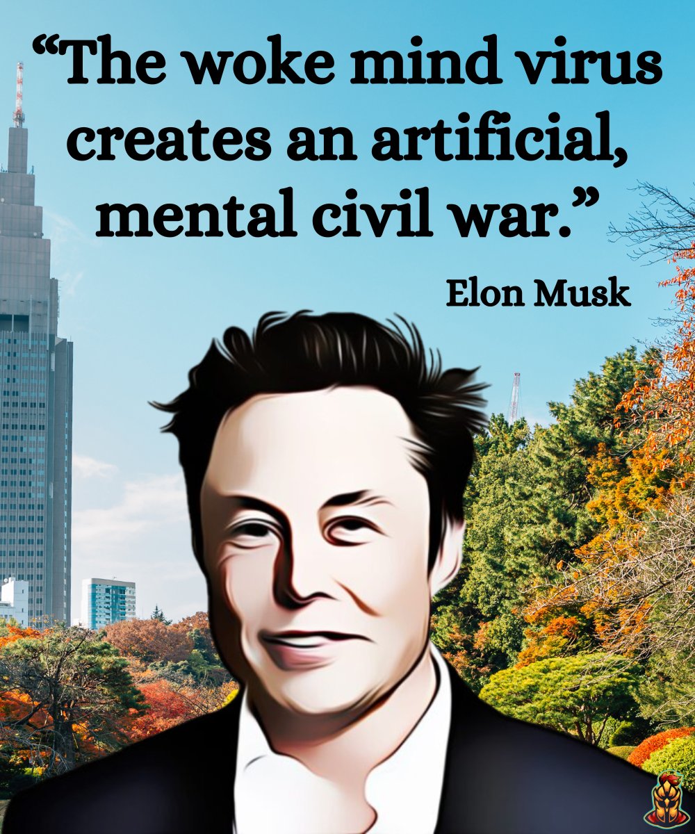 @elonmusk 🤔 Wokeness: A new form of civil war! 👇