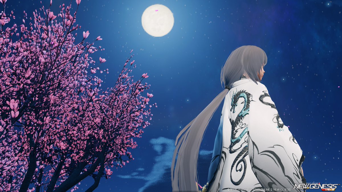 背中で語る
#PSO2NGS 
#PSO2NGS_SS 
#メンテの日なのでssを貼る