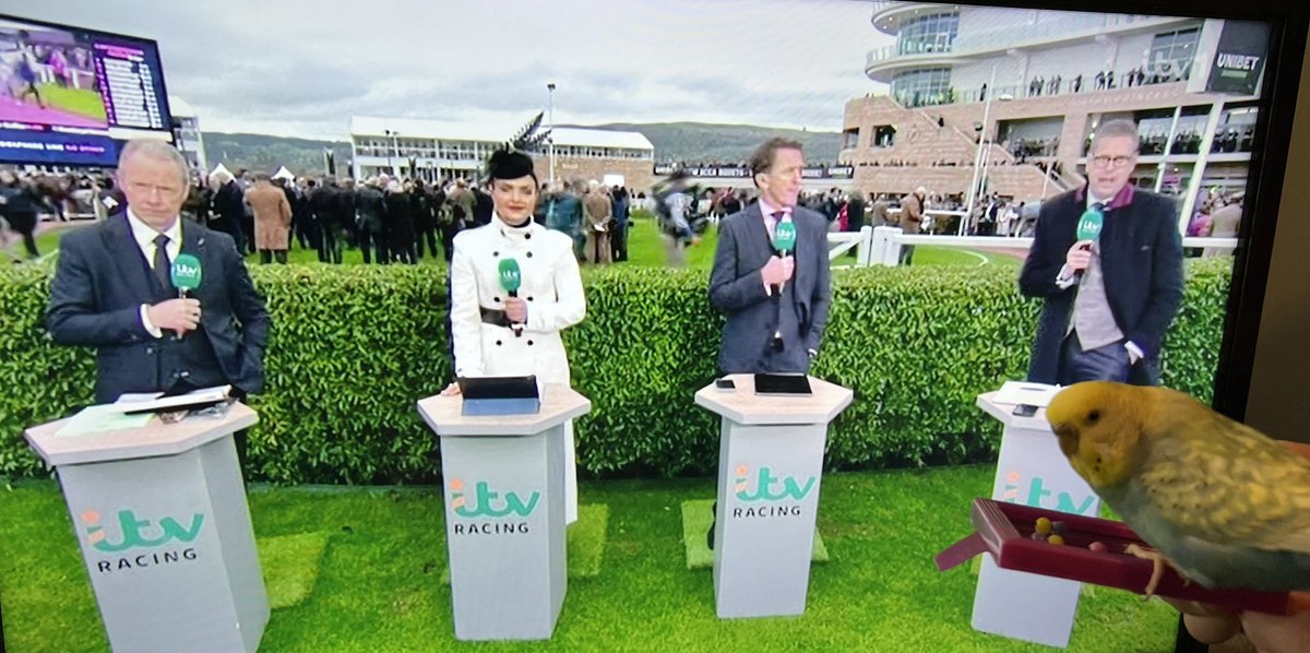 sugarplum02's tweet photo. @itvracing Cecil is loving the #CheltenhamFestival 
😂🏇❤️

@olibellracing 
#ITVRacing 
#TheSocialStable 📺 https://t.co/MGgCpHZIri