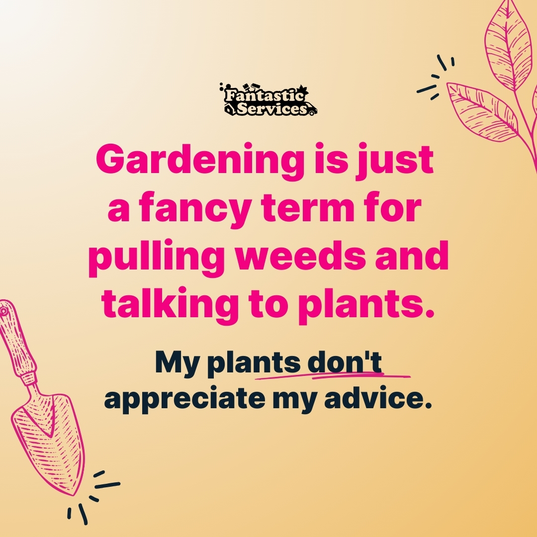 Fantastic Services tweet media