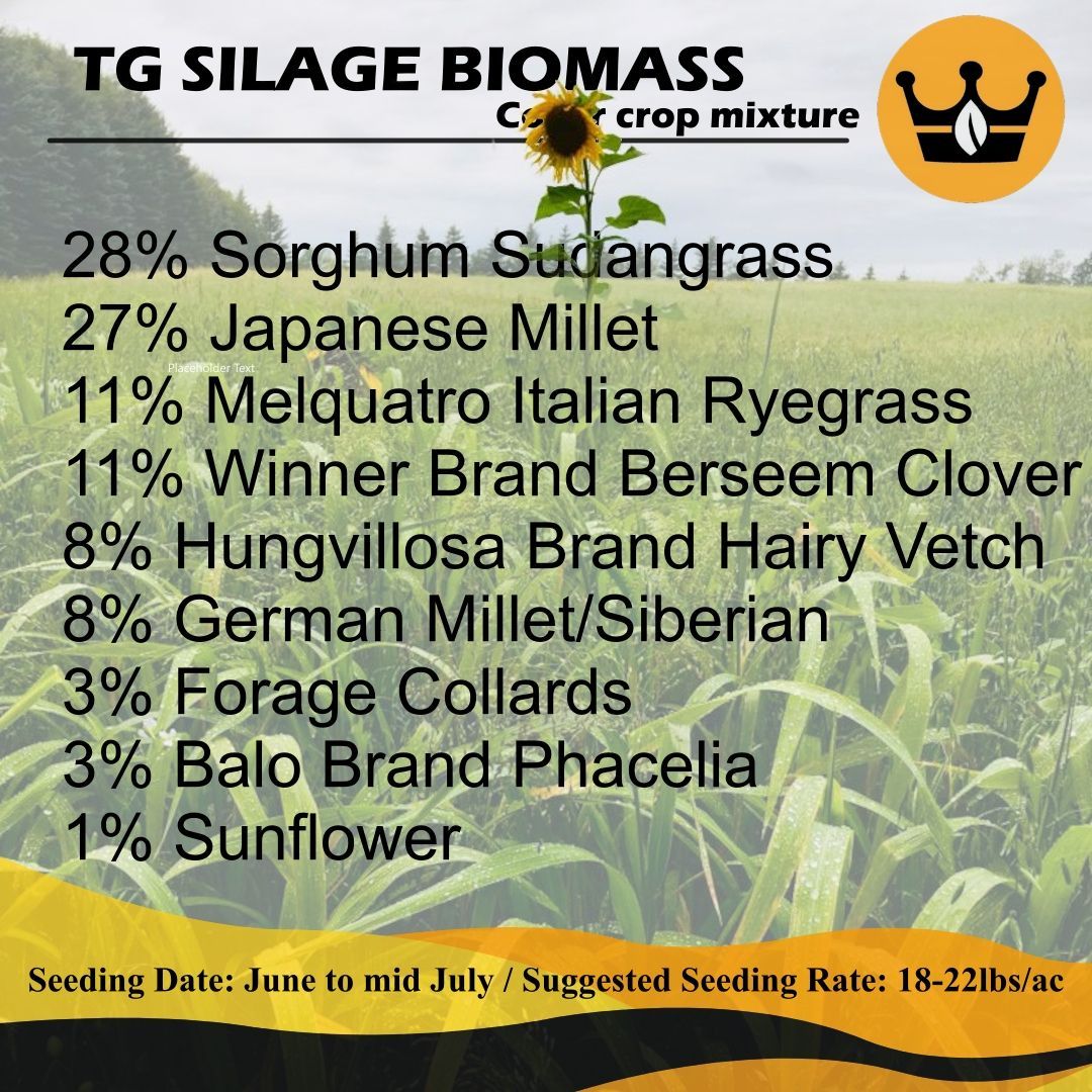 Our Silage Biomass cover crop mixture is a collection of big leafy, warm-season grasses that give silage and very good yield potential.🌱 📞 (204) 786-8457 📍 8040 Park Royale Way, Winnipeg, MB R3C 2E6 🌎 imperialseed.com