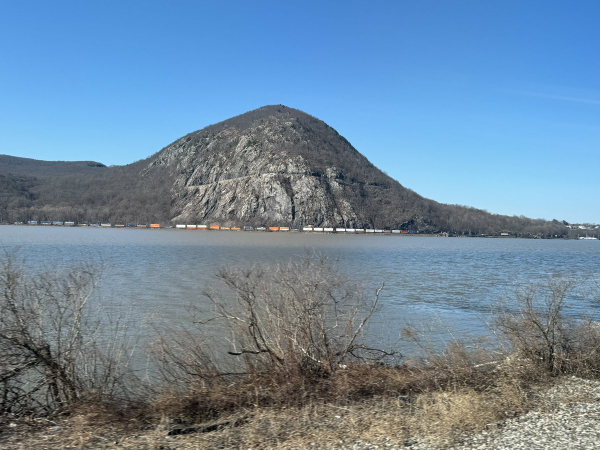 Political Animal tweet media