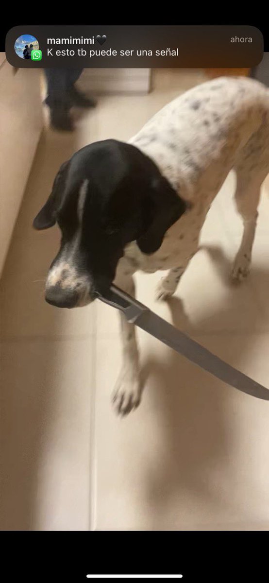 esto es lo que opinamos mi hijo y yo sobre tu artículo