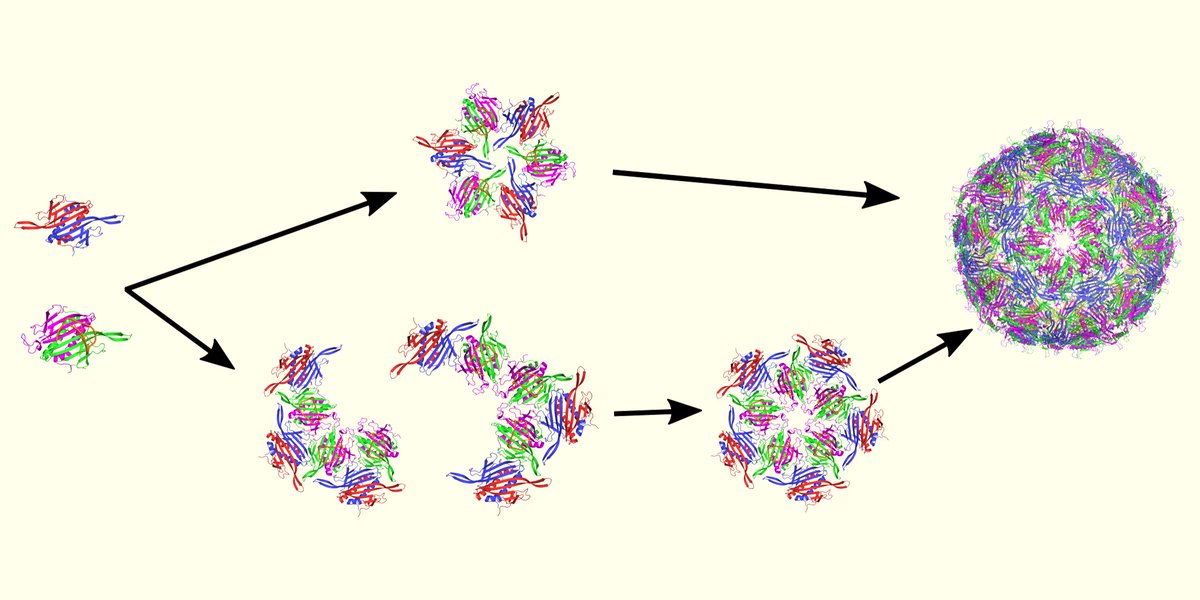 Ryan Wilkinson tweet media