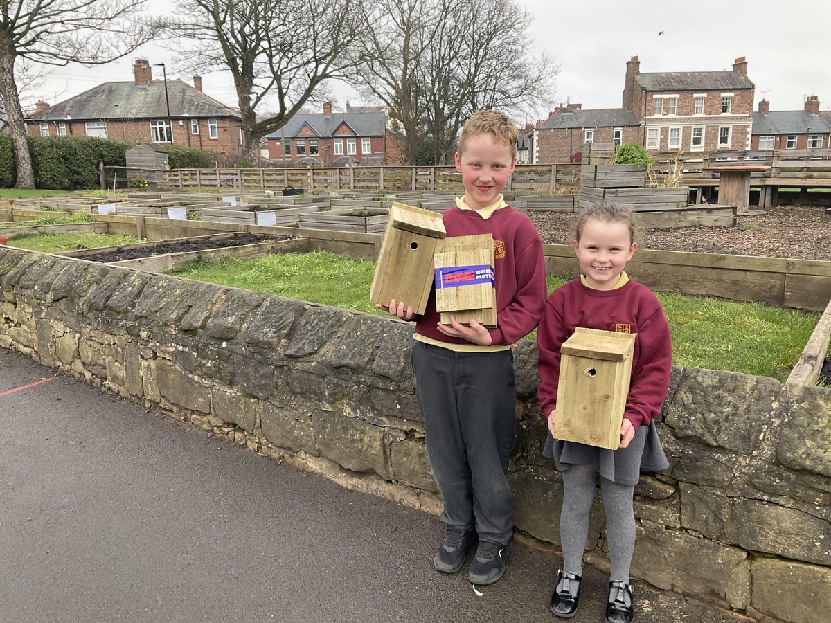 Thank you to JT Dove Builders Merchants, North Shields for donating packs to make bird boxes. We have a few spare if you would like to buy one for £5 from school office. All proceeds to go into supporting our school allotment