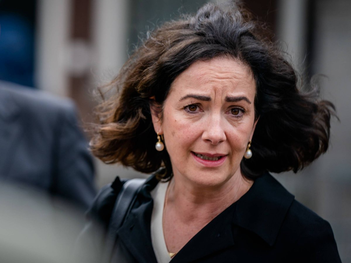 Solly Is Back! tweet media