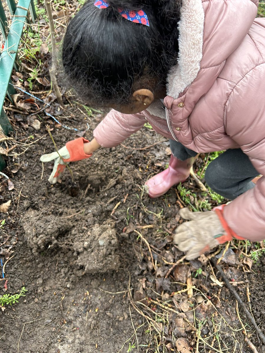 Carole Brindley tweet media