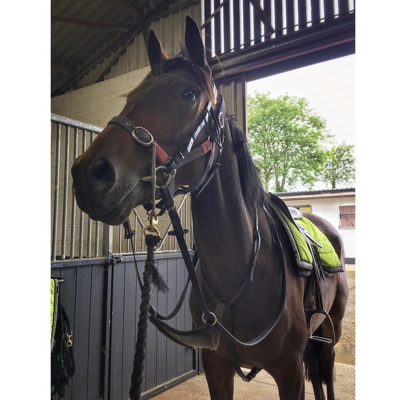 Unbelievably proud of Chianti Classico, been waiting for this day since he was just 3 years old. He has such a huge, genuine heart and tries so unbelievably hard. Congratulations Chi Chi and all at <a href="/kimbaileyracing/">Kim Bailey & Mat Nicholls Racing</a> 🥹✨