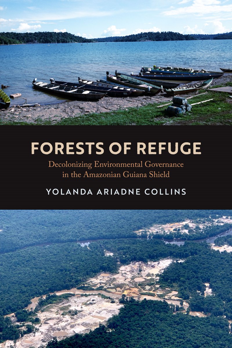 1/7 Forests of Refuge is now officially out in the world! 🥳