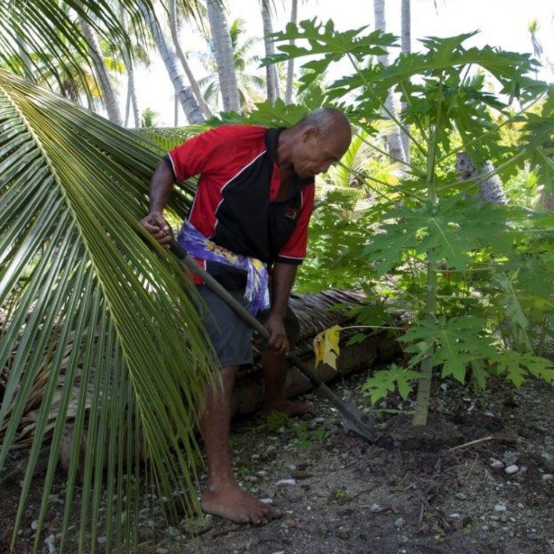 There are few places in the world as remote as #Kiribati.

But with support from IFAD, rural people are making the best use of what’s available in their small island communities.

Now, they’re leading the way in sustainable farming 🌾👉 ow.ly/hwwE50QQbzS
