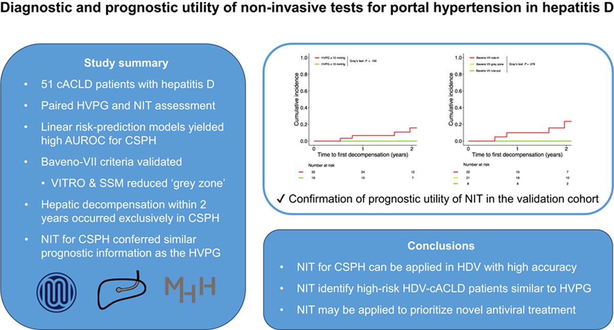 🆕Validation of #Baveno VII criteria & NIT for CSPH in #hepatitis delta ✅NIT identify high-risk HDV-cACLD patients similar to HVPG w/high accuracy 💡NIT may guide novel antiviral treatment prioritization & individualized prognostication 🔗t.ly/c_Bzg #livertwitter