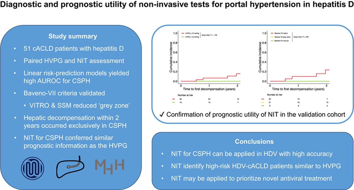 🆕Validation of #Baveno VII criteria & NIT for CSPH in #hepatitis delta 

✅NIT identify high-risk HDV-cACLD patients similar to HVPG w/high accuracy
💡NIT may guide novel antiviral treatment prioritization & individualized prognostication

🔗t.ly/c_Bzg #livertwitter