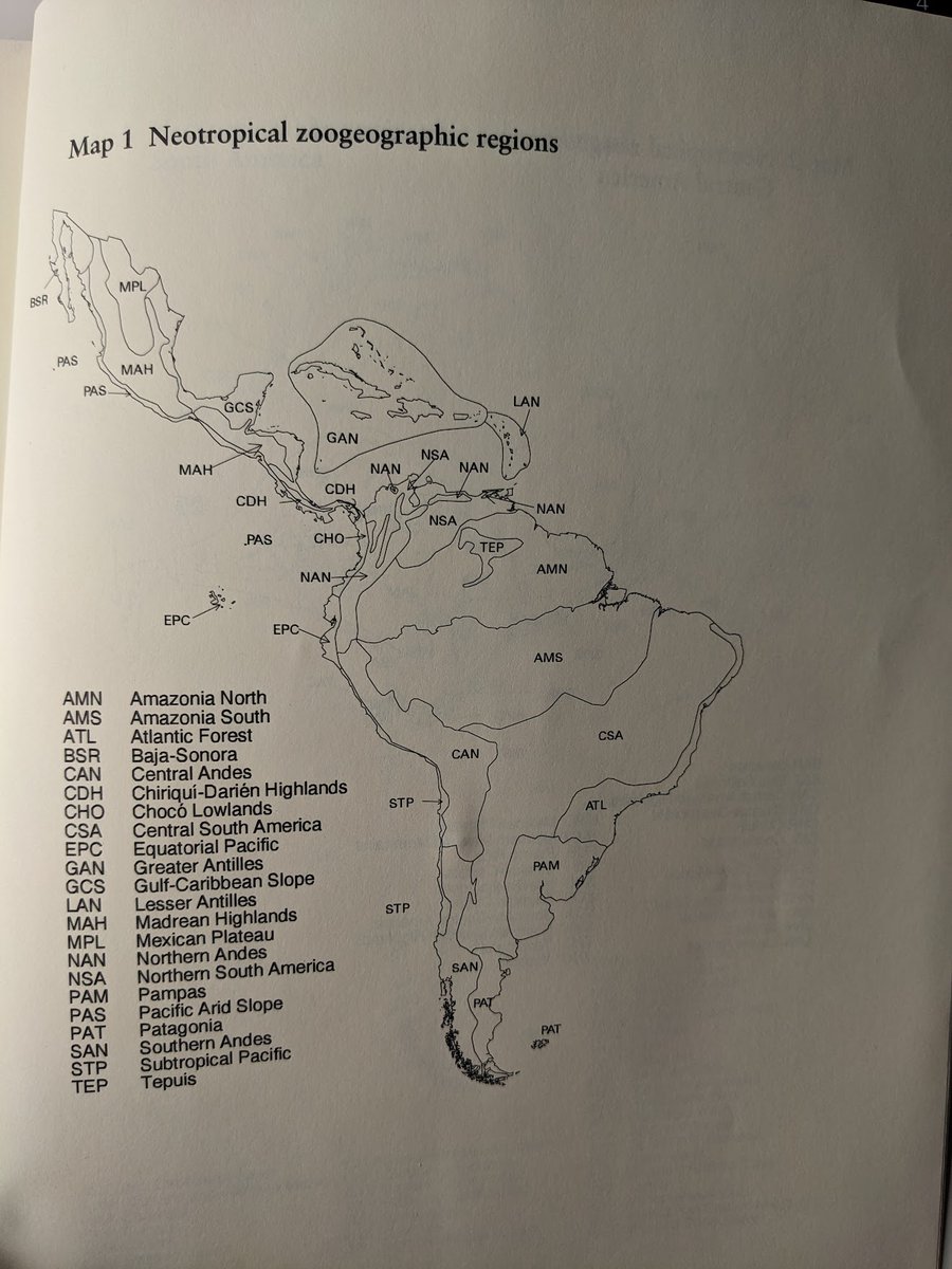 Jorge Velásquez tweet media