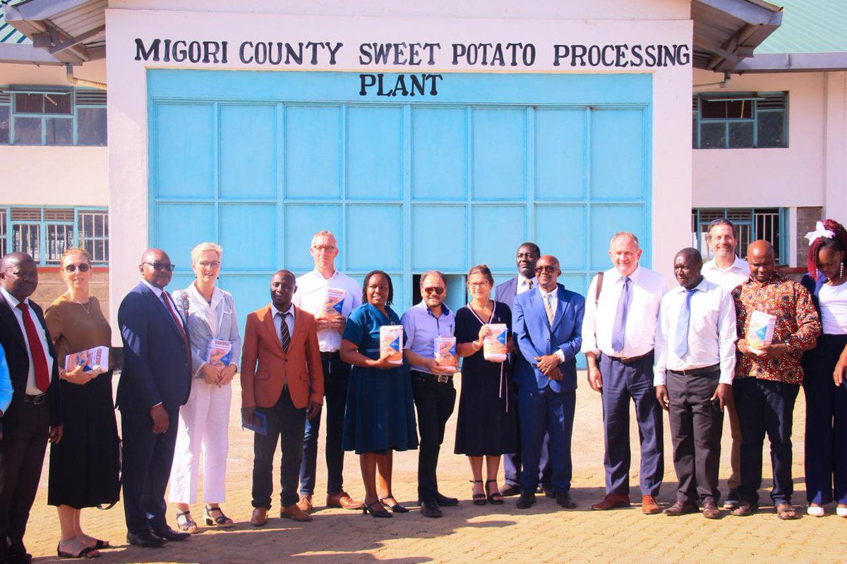 EU's investment of KES 110 Million in 'Enhancing Productivity, Market Access, and Profitability of the Sweet Potato' project drives job creation and value chains in Migori, Kenya 🇰🇪. #TeamEuropeKenya #GlobalGateway #GenerationGreen @CMigori