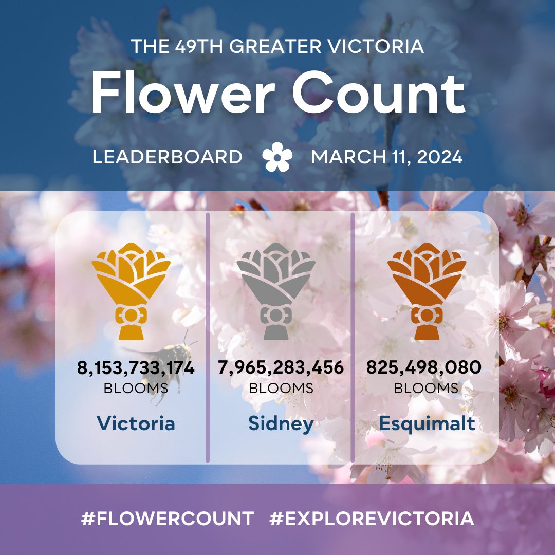 The weekend tally is in... and #FlowerCount is getting quite heated! 💐 

Victoria and Sidney muster everything they have in their Flower Power, with Victoria gaining the momentum! 

Keep on counting those blooms - we have 2 days before we decide on our winner! 🌷🌼🌸