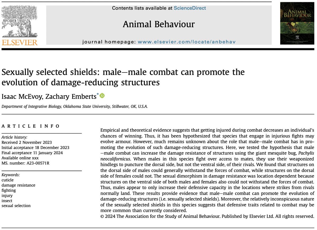 Excited to finally see this out!

Sexually selected shields: male-male combat can promote the evolution of damage-reducing structures
authors.elsevier.com/a/1ikKOmjM6FXf

Isaac’s first manuscript and my first in Animal Behaviour!