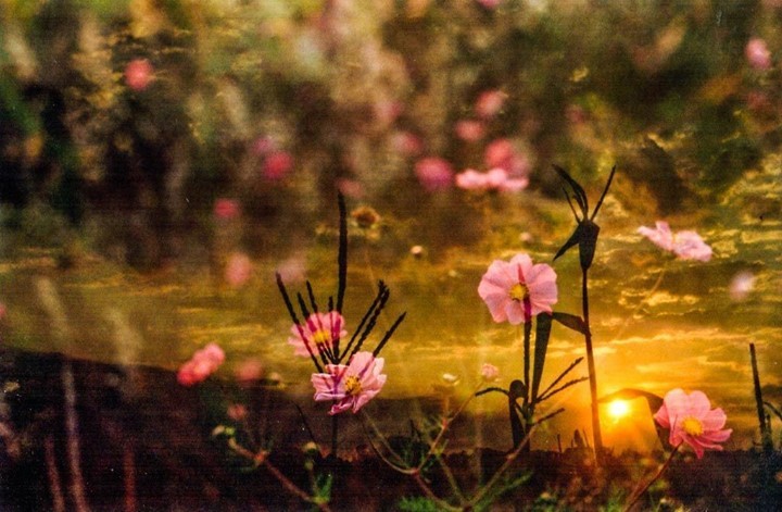 Amanecer y atardecer en doble exposición análoga, film de 35mm, sin manipulación digital.