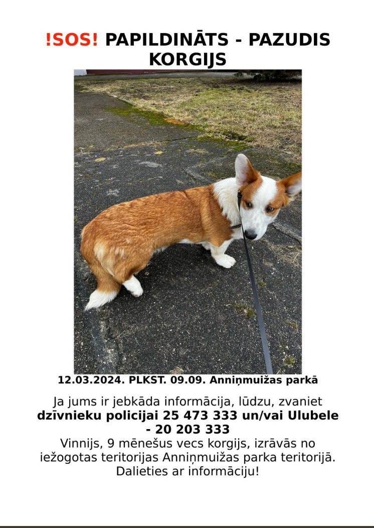 Kolēģis Vinnijs brīvsolī! Pazudis! 
Palīdziet atrast!