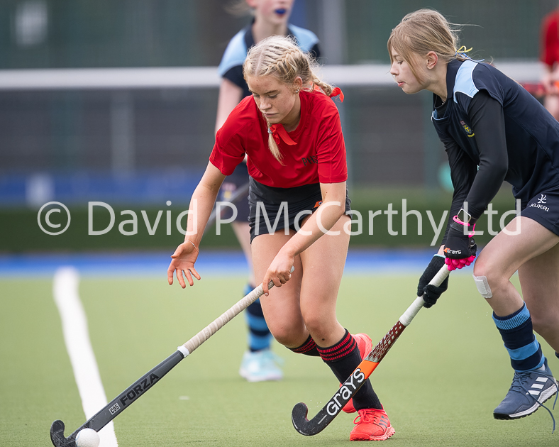 David P McCarthy tweet media