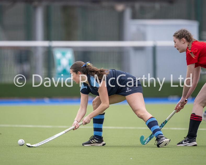 David P McCarthy tweet media