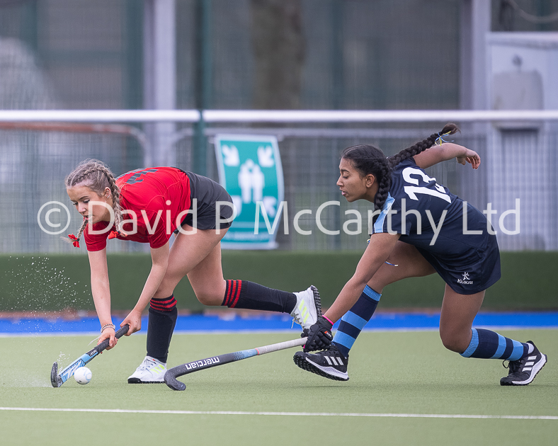 David P McCarthy tweet media