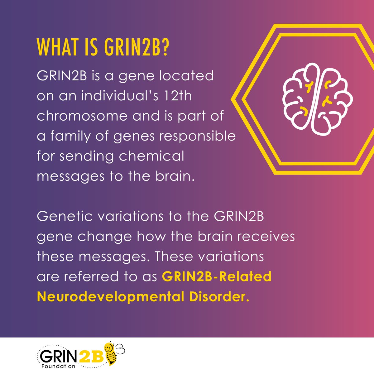 GRIN2Bsyndrome's tweet photo. Welcome to #GRIN2BAwareness Week! #GRIN2B is a gene located on the 12th chromosome & is part of a family of genes responsible for sending chemical messages to the brain. Genetic variations to the GRIN2B gene change how the brain receives these messages. https://t.co/MjsLJS2KCk