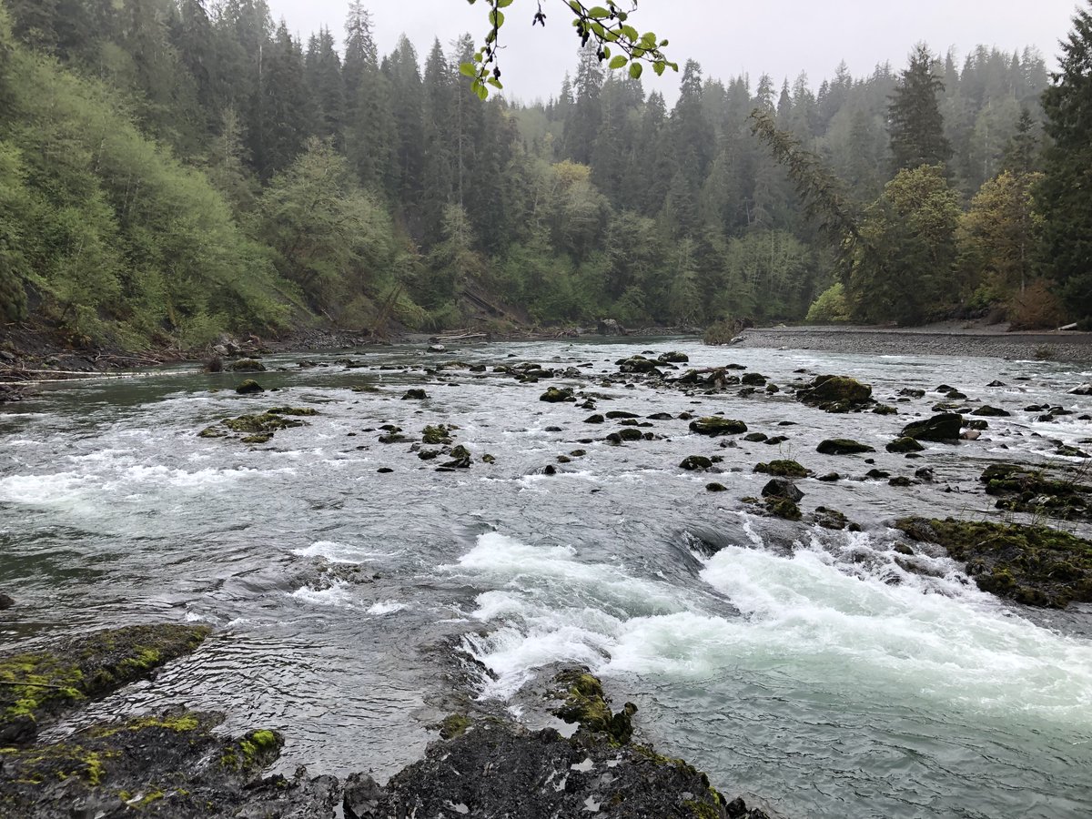 Draft applications for WCRRI grants are due Thursday. You need to submit a draft application if you plan on submitting a final one in June. Questions? Please reach out to your outdoor grants manager or message us here.
Full details: rb.gy/3hus64
#salmon #conservation