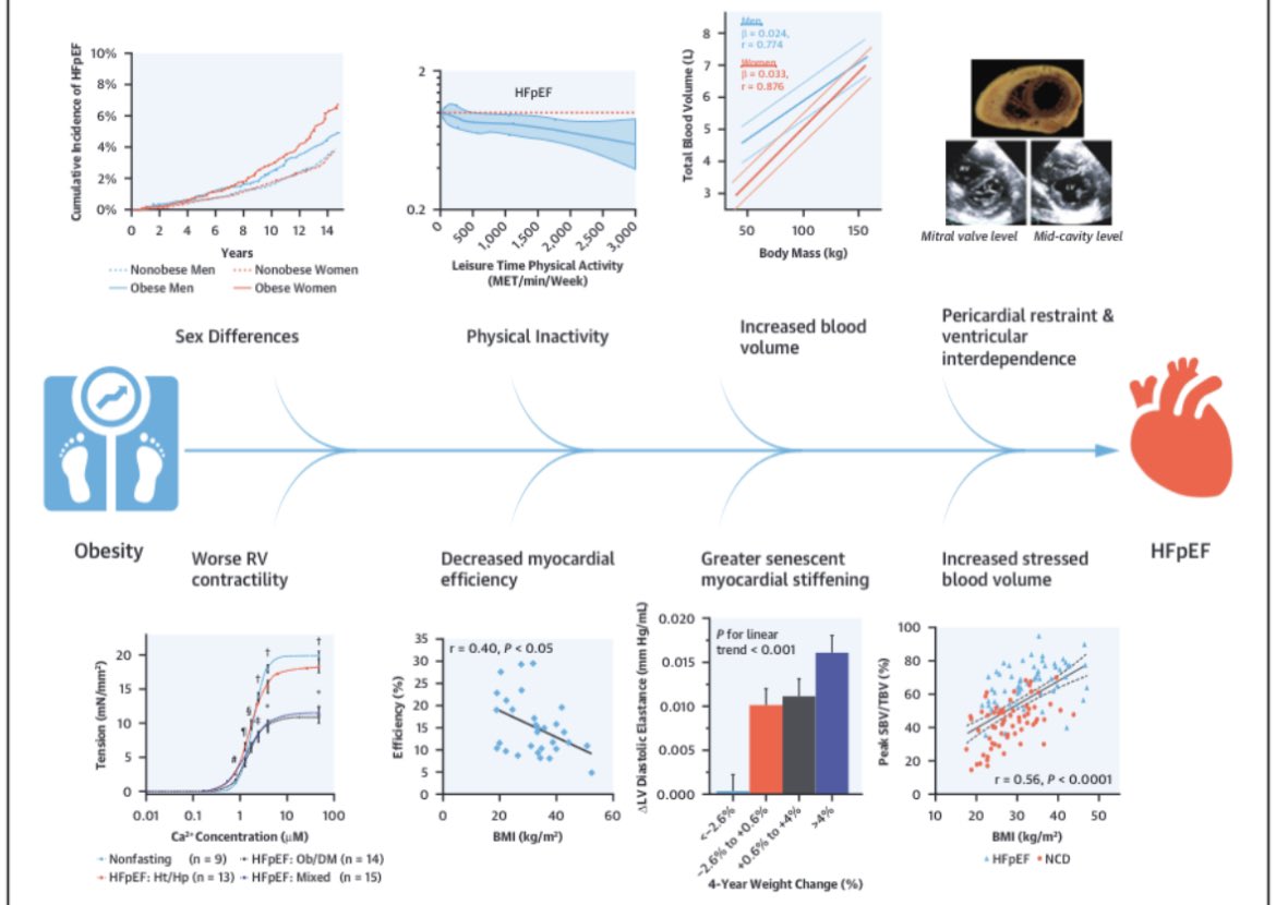 ZHeart11768530's tweet photo. 🔴 Heart Failure With Preserved Ejection Fraction: 2023 @JACC Scientific Statement
📥https://t.co/ItrNmgqlGb
#cardiology #CardioTwitter #CardioEd #medical #medicine #meded #medtwitter https://t.co/JtHshGM3G3