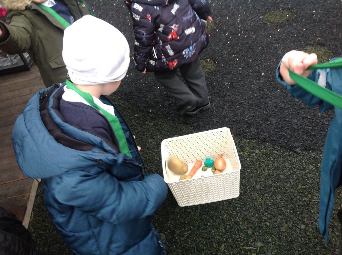 QRA_2030Y1's tweet photo. FS2 gathered the vegeatables from the outside areas sorting them from the fruit and counted how many of each vegetable there were #qramaths #qrascience #qrabump https://t.co/BvO59JHwHo