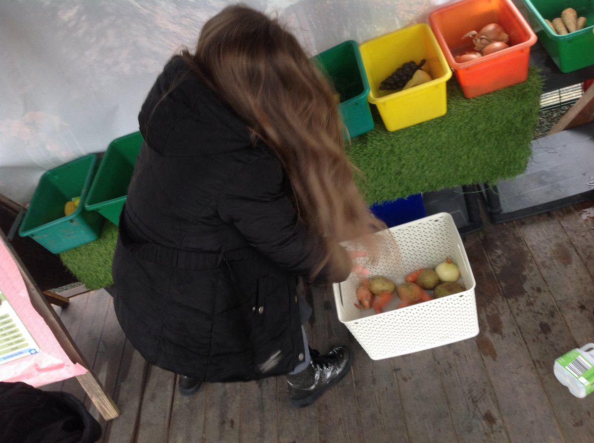 QRA_2030Y1's tweet photo. FS2 gathered the vegeatables from the outside areas sorting them from the fruit and counted how many of each vegetable there were #qramaths #qrascience #qrabump https://t.co/BvO59JHwHo