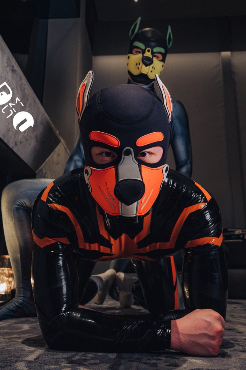 Sadism:@bean2_Oliver
Puppies:<a href="/hybrid_nindra/">hybrid龙忍</a> <a href="/fox_s_hy/">狐琊_Foxy</a> <a href="/ybot2022sss/">Tobi_222🕷️🧦</a> <a href="/latexsheepccx/">青野大葱</a> <a href="/shuaiqiubear/">Shuaiqiubear</a> 
some bondage stuff &amp; cute puppies👍😋