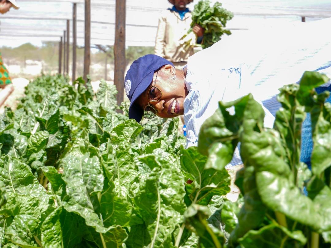 UNNamibia's tweet photo. Exciting #WFP supported food production projects for school children, offenders, &amp; the surrounding community! 🌱💪 #Namibia #UNimpact https://t.co/q1kwfE35dq
