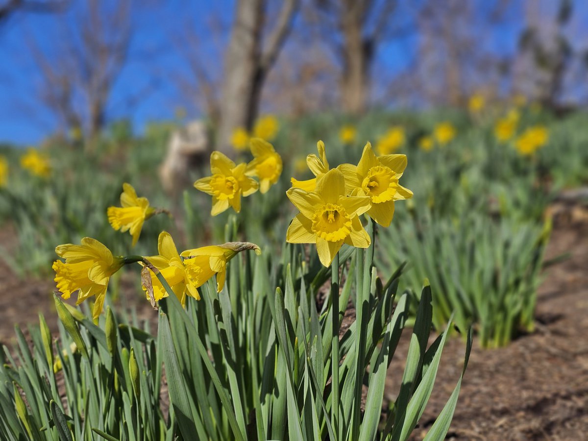 Eric Fisher tweet media