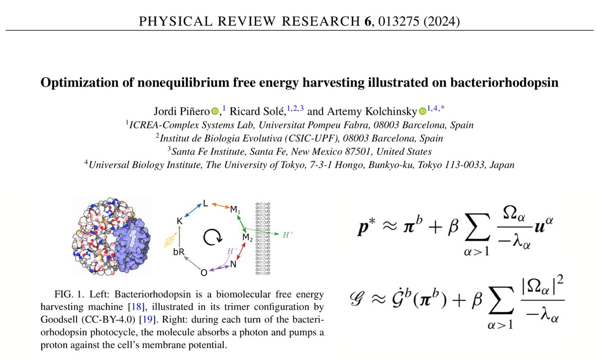 How close are living systems to optimal states? In our new paper in @PhysRevResearch with @artemyte and @JordiPinero we searched for universal bounds to this problem within the context of free energy harvesting, with special attention to molecular machines journals.aps.org/prresearch/pdf…