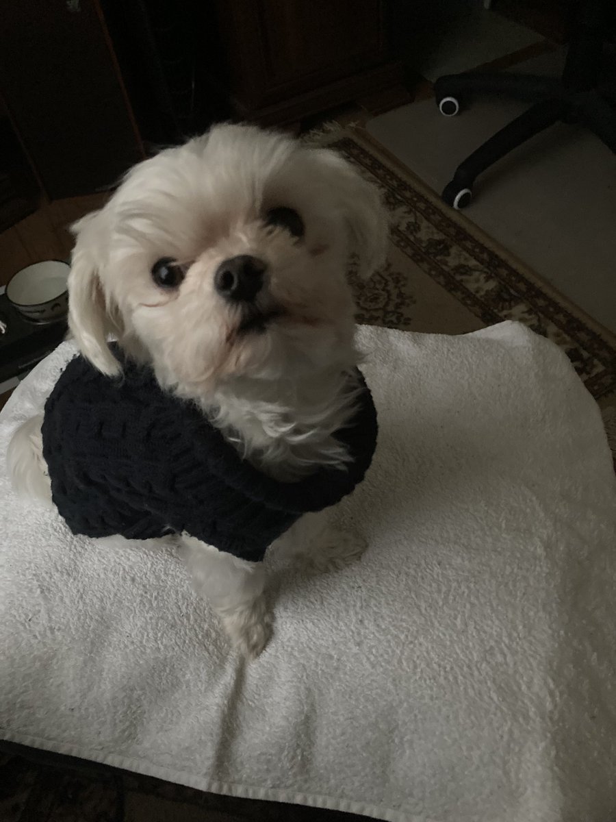 sidneyathome's tweet photo. @lynn2wine My friend Leo (a guest) wishes you and Seamus all the comfort in the world in your grief. Such a loss, Finn RIP https://t.co/d9fs8JRwx5