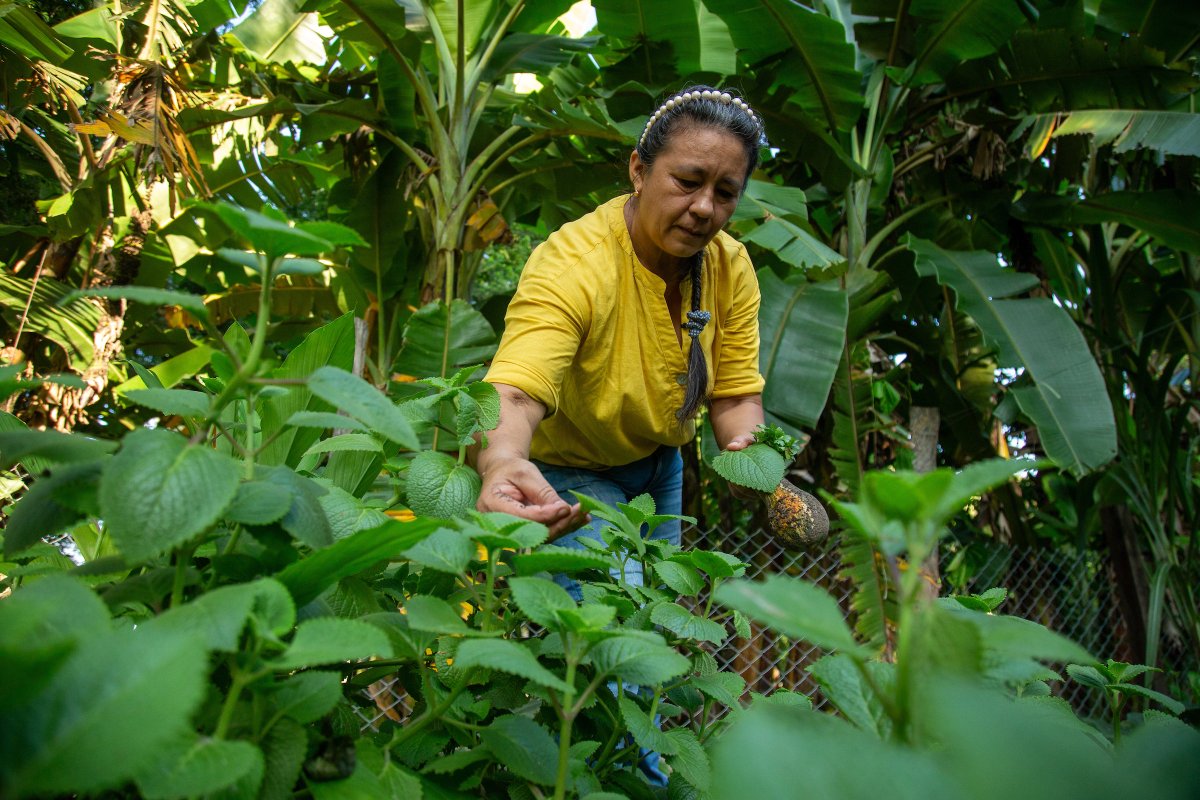WWFColombia's tweet photo. Mujeres llaneras que protegen las sabanas 👩🏽‍🌾👩🏽‍🌾 

Libia y Yanire son dos hermanas ganaderas y líuderes de la conservación en Casanare #Orinoquia ☀️ Su trabajo es un gran ejemplo de la relación entre la cultura llanera y la conservación.

CONOCE SU HISTORIA: https://t.co/451amtwUDg https://t.co/emuDuLFAaC
