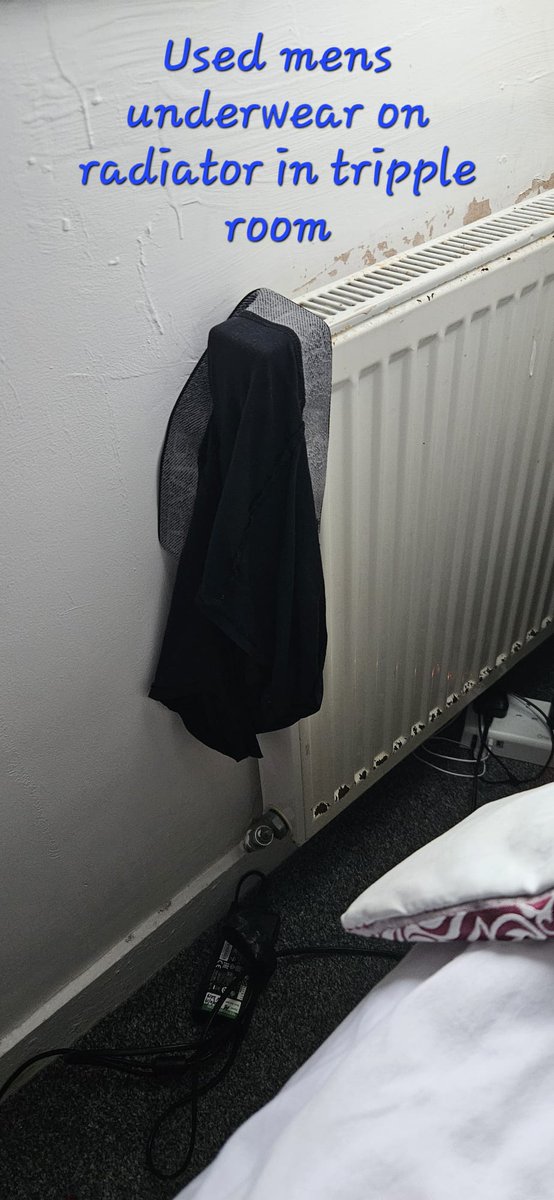 BusinessTerp's tweet photo. @Travelnest I paid £233 for a 2 bed holiday let with urine stains, mould, damage, no heat or hot water - I want my money back!!! https://t.co/9kDAtCGuQd