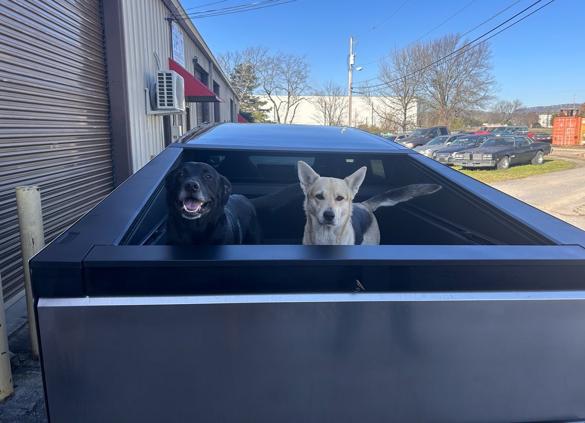 diywrapclub's tweet photo. The best passengers are fluffy #cyberpups https://t.co/I60wyF2vDL