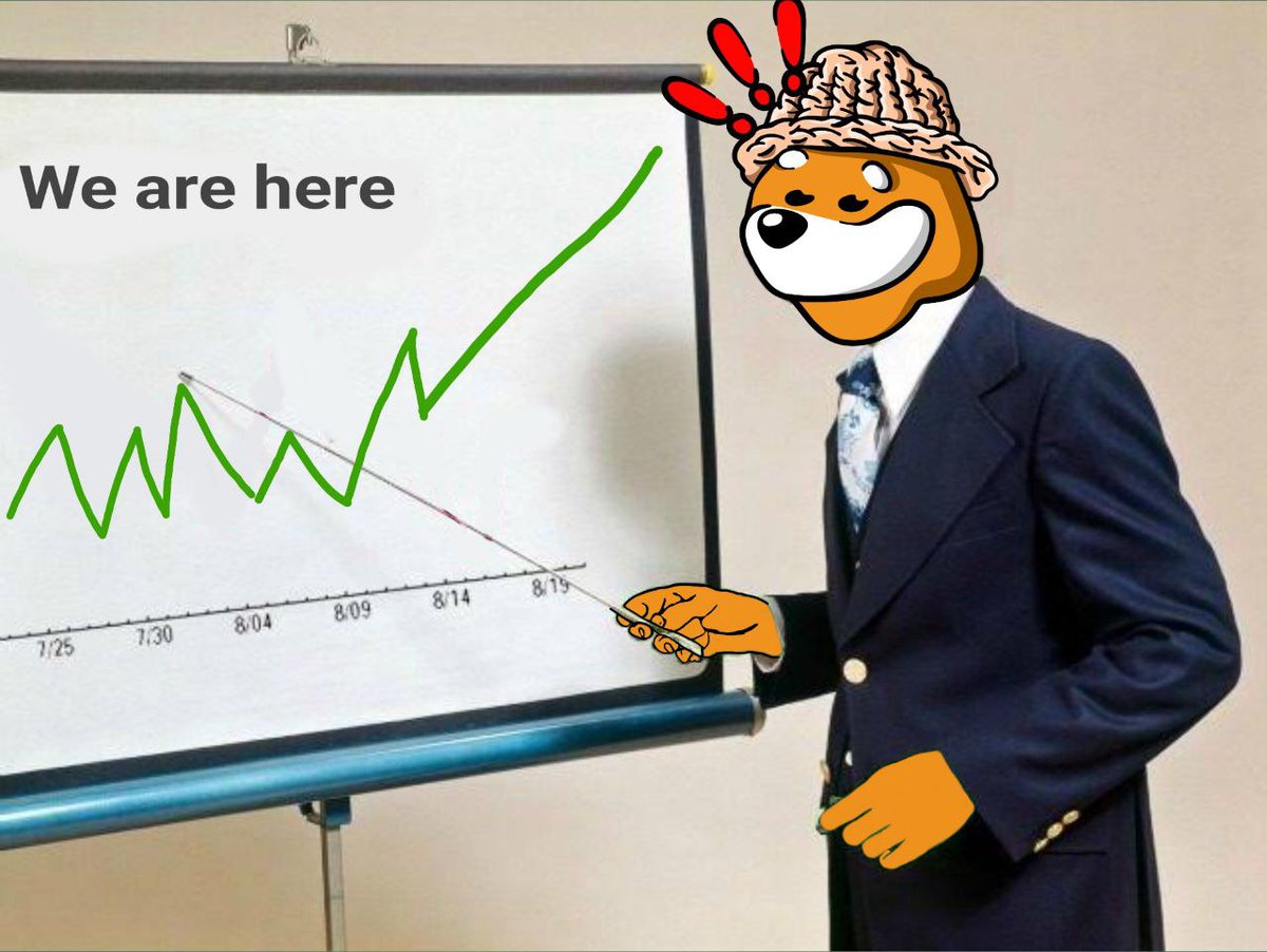 BONKWIFHAT tweet media