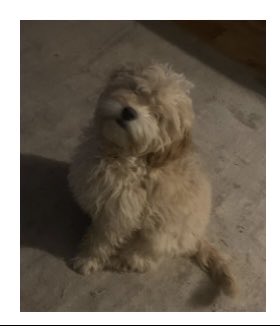 Victory Academy tweet media