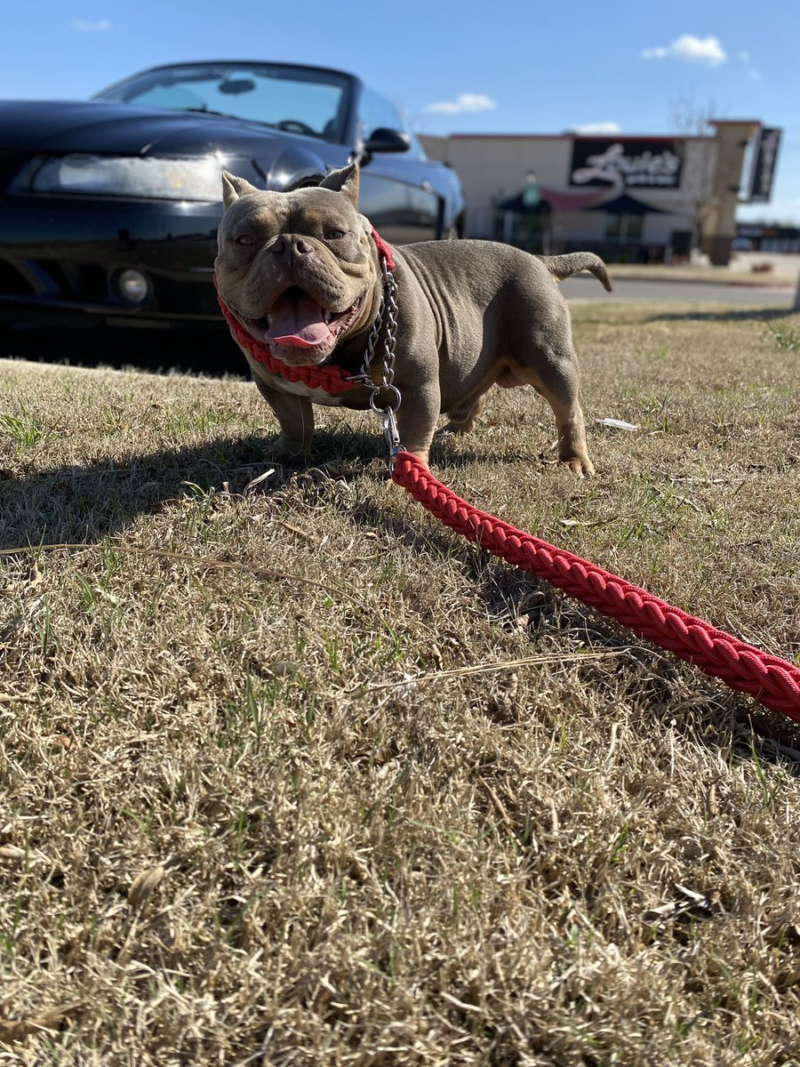 Peyday400's tweet photo. Hardest bully across the Oklahoma state line 😈 https://t.co/s7an5r5E4i