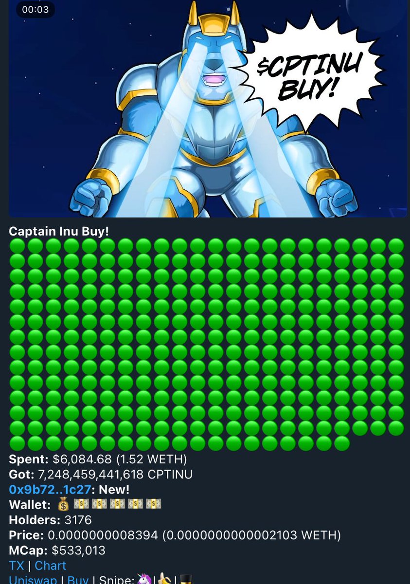 A few new wallets came in today. Word is slowly spreading 👀👀

$CPTINU