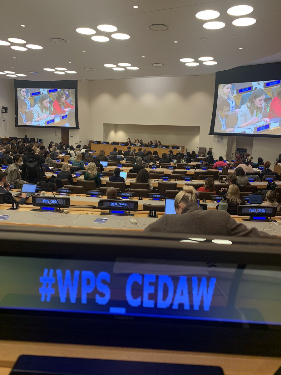 Listening to State’s about the issue of women, peace and security, at #CSW68 I am proud that @Denmark_UN - the only State out of the 14 I heard- mentions Indigenous women in their statement, recognizing the need to elevate Indigenous women’s voices and support their protection.