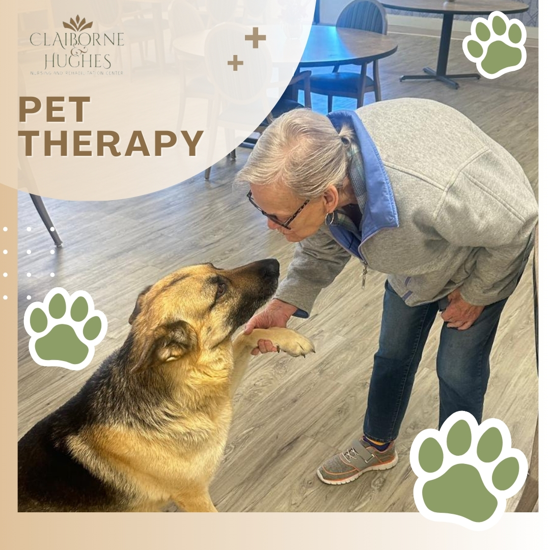 ClaiborneAnd's tweet photo. 🐾❤️ Pet therapy with Bubba was a favorite among everyone at Claiborne &amp; Hughes. 🐶🎉 
#PetTherapyFun #BubbaBroughtJoy #Bubba #ClaiborneAndHughes #FranklinTN #PetTherapy #SeniorCare https://t.co/NezkFMTyHN