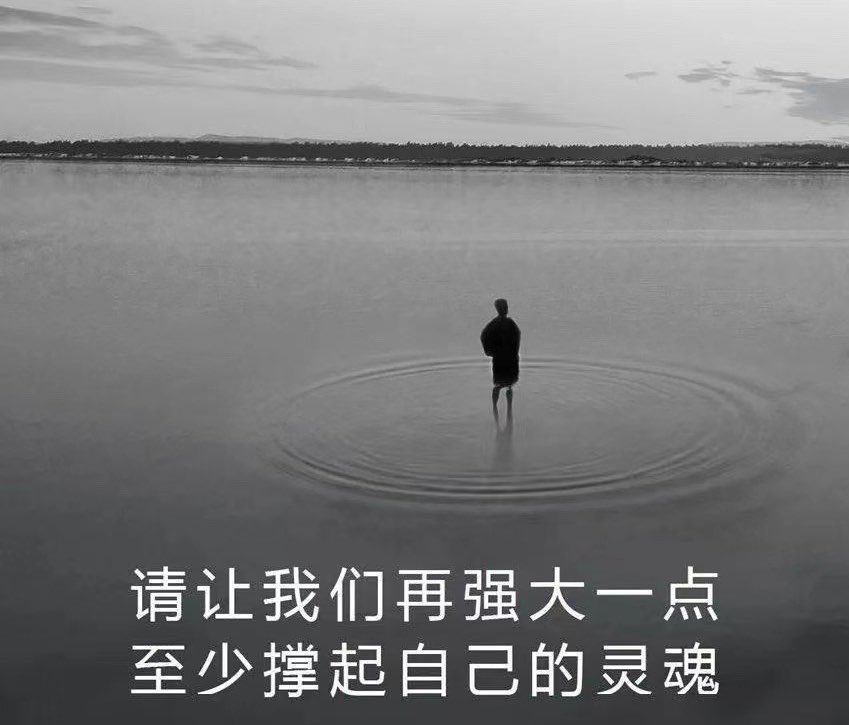 有没有支持老金的兄弟姐妹！

点个赞！！！