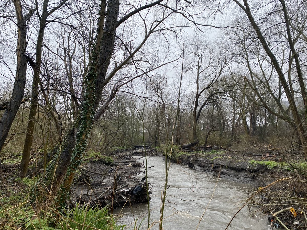 Was at Brent Reservoir today. Props to @CanalRiverTrust for riverbank clearance. Lots of fallen trees, debris removed. Trash screen grill also unclogged by @EnvAgencySE. Will stop overtopping of effluence, plastics into SSSI woodland. *salutes* (Inspired by @CoolOakGroup) ✊🌿